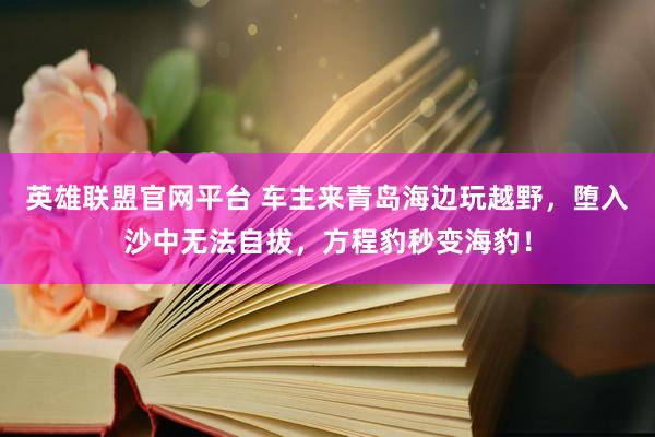 英雄联盟官网平台 车主来青岛海边玩越野，堕入沙中无法自拔，方程豹秒变海豹！