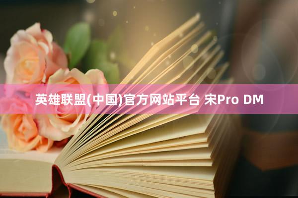 英雄联盟(中国)官方网站平台 宋Pro DM