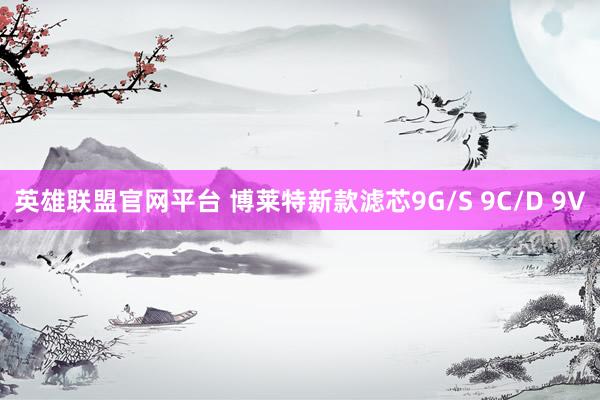 英雄联盟官网平台 博莱特新款滤芯9G/S 9C/D 9V