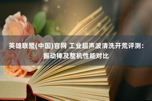 英雄联盟(中国)官网 工业超声波清洗开荒评测：振动棒及整机性能对比