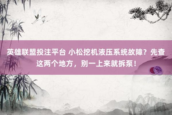 英雄联盟投注平台 小松挖机液压系统故障？先查这两个地方，别一上来就拆泵！
