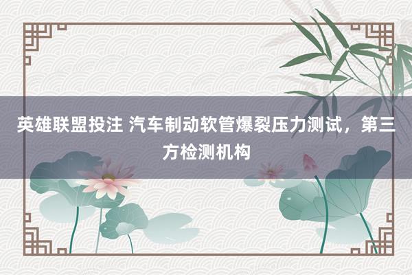 英雄联盟投注 汽车制动软管爆裂压力测试，第三方检测机构