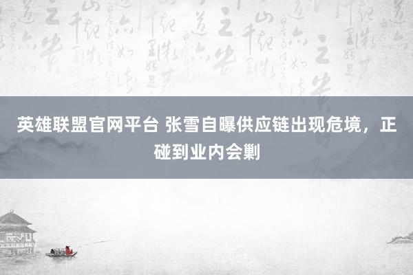 英雄联盟官网平台 张雪自曝供应链出现危境，正碰到业内会剿